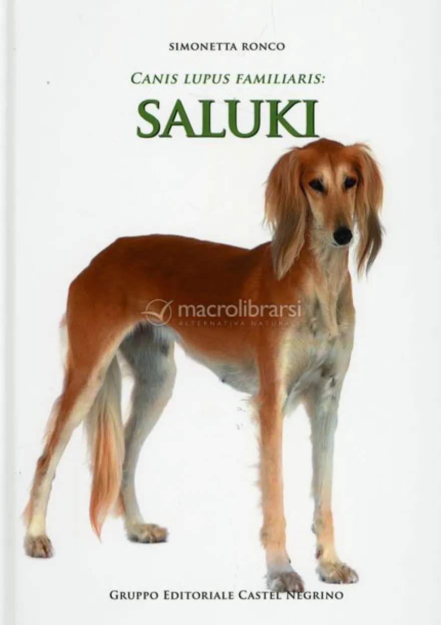 Canis Lupus Familiaris: Saluki