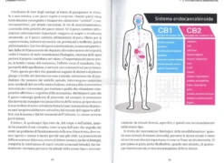 Cannabis Medica