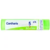 Cantharis Boiron 5CH Granuli