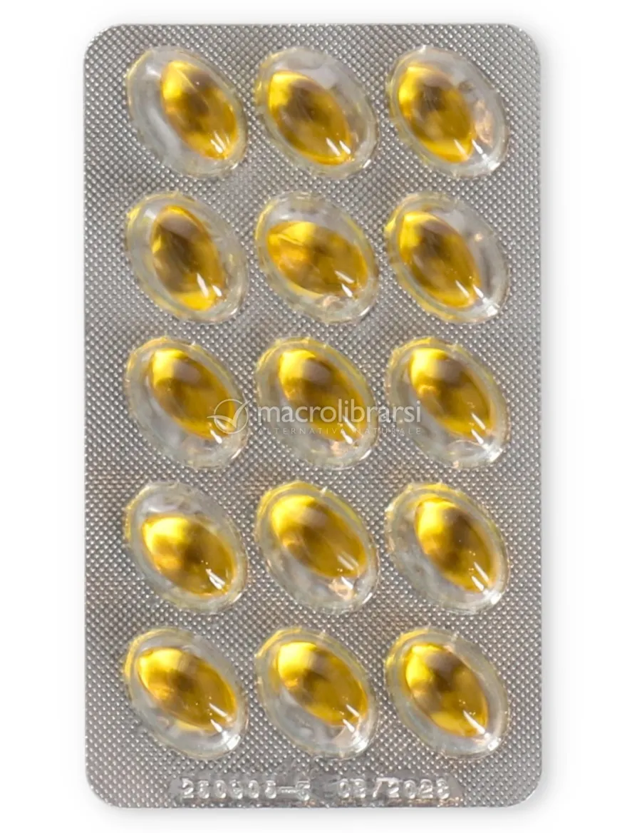 Capsule Bronchi Respirazione