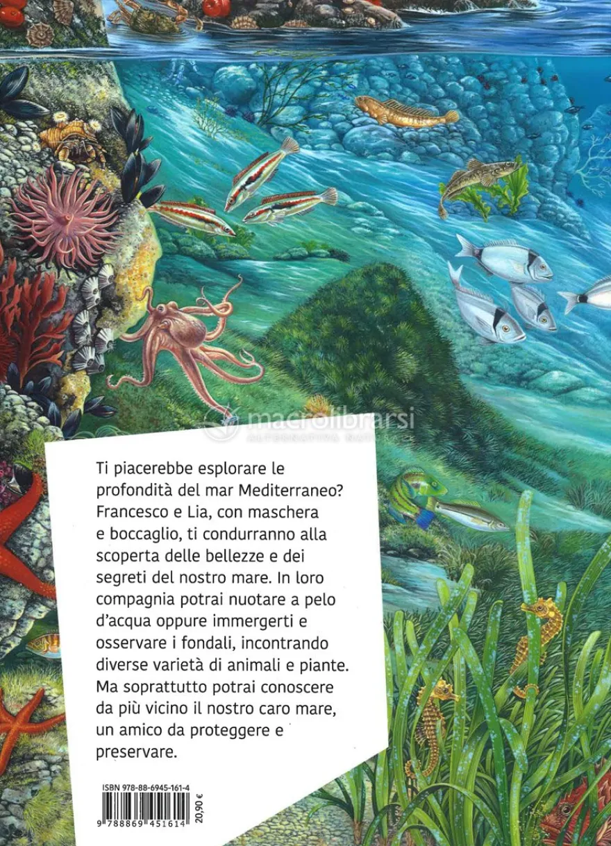 Caro Mare