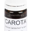 Carota - Olio Essenziale Puro