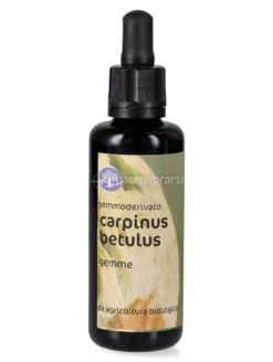 Carpinus Betulus - Gemmoderivato Floripotenziato - Gemme