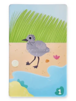 Carte Educative - Al Mare