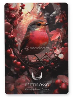 Carte Oracolo - Red Valley