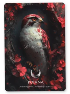 Carte Oracolo - Red Valley