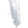 Carte per la Divinazione - Divine Feather Messenger