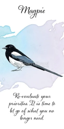 Carte per la Divinazione - Divine Feather Messenger