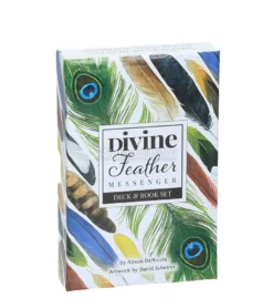 Carte per la Divinazione - Divine Feather Messenger
