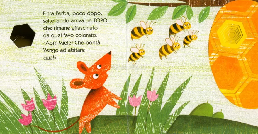 Casa Dolce Casa