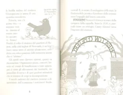Cassey Almond e l'Ordine del Caos