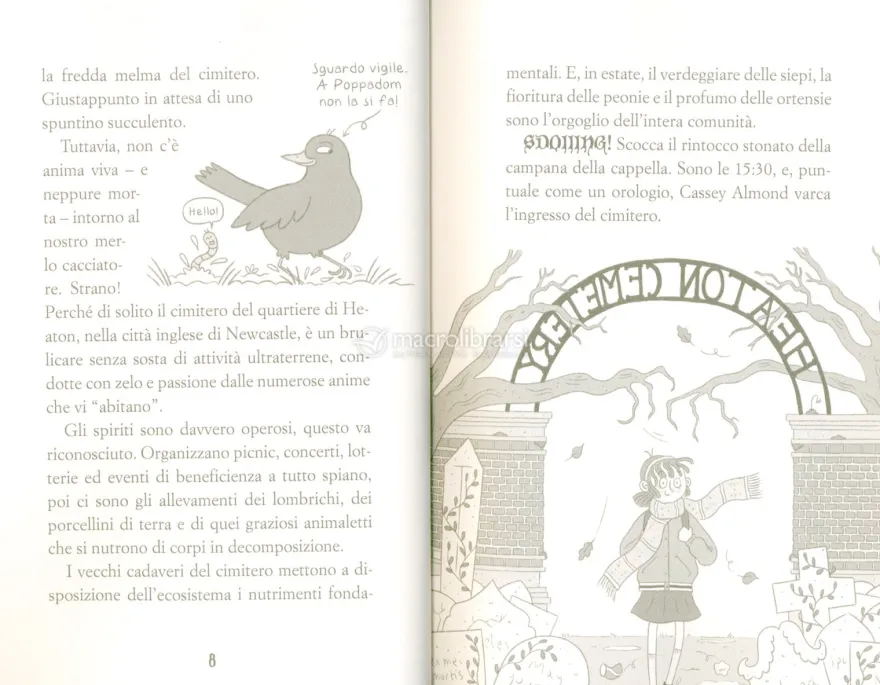 Cassey Almond e l'Ordine del Caos