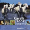 Cavalli - 1001 Fotografie