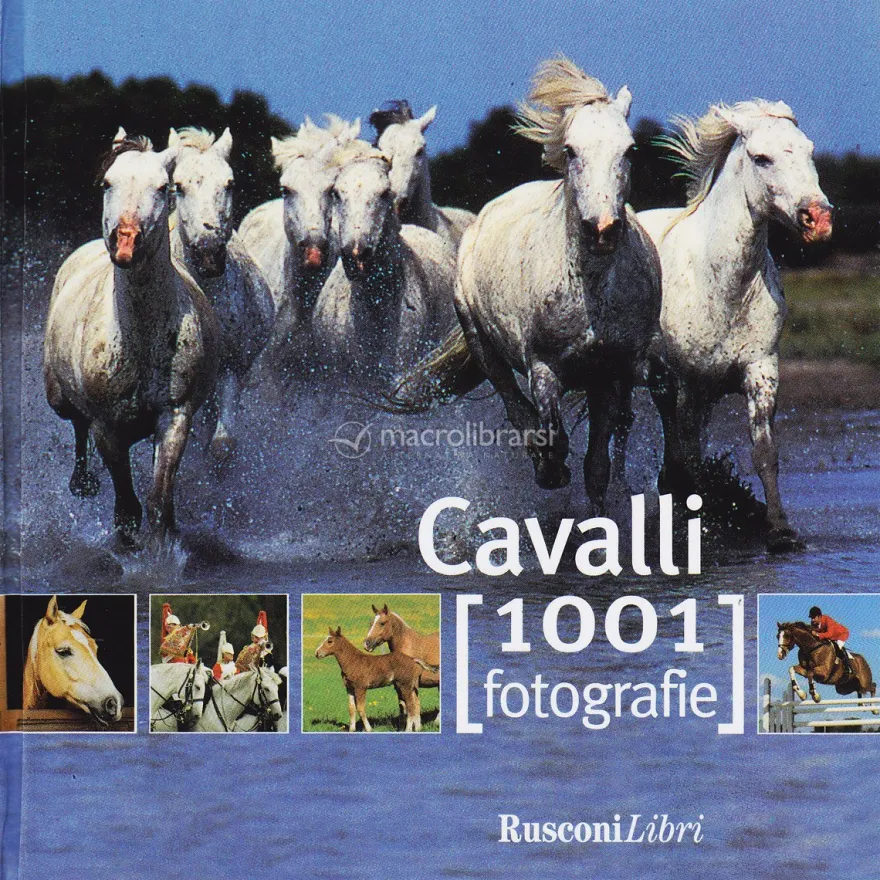 Cavalli - 1001 Fotografie