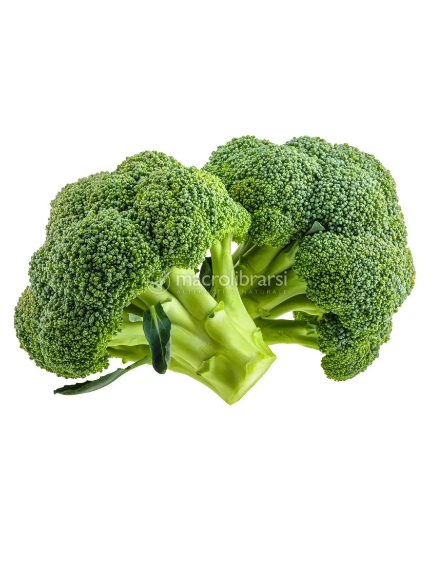 Cavolo Broccolo Ramoso Calabrese