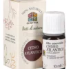 Cedro Atlantico - Olio Essenziale