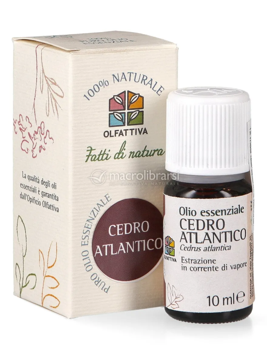 Cedro Atlantico - Olio Essenziale
