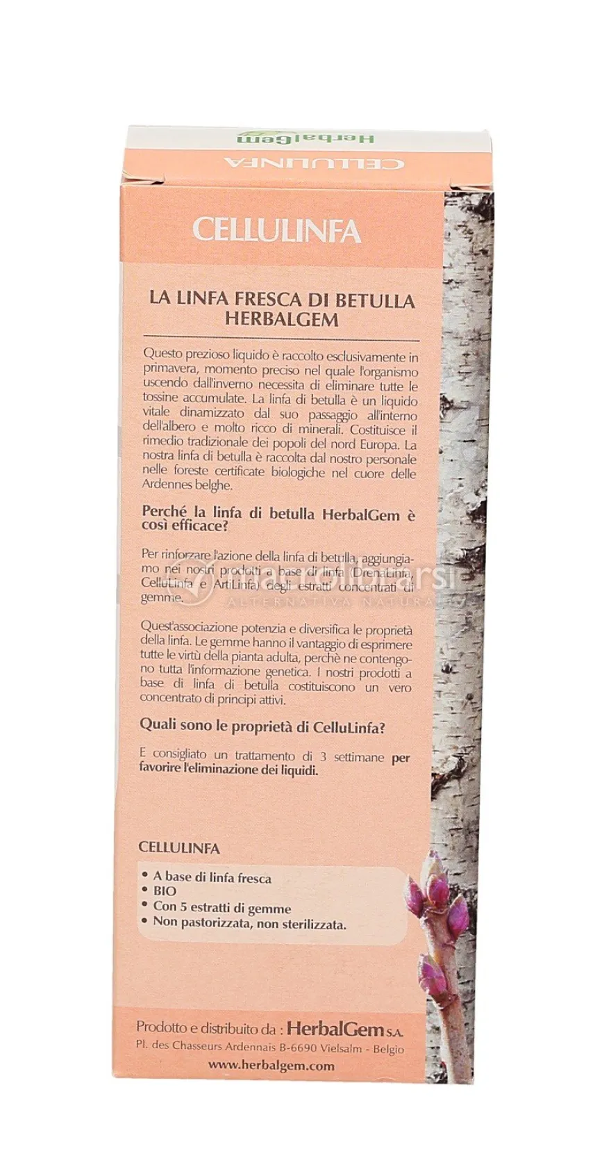 Cellulinfa - Linfa di Betulla con Estratti di Gemme - Snellente
