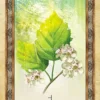 Celtic Tree Oracle