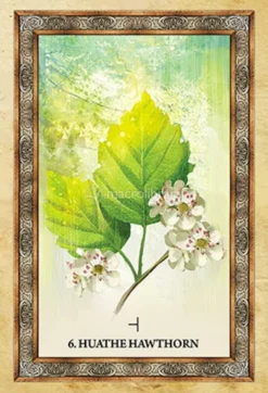 Celtic Tree Oracle
