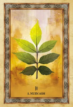 Celtic Tree Oracle