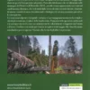 C'era una Volta il Bosco