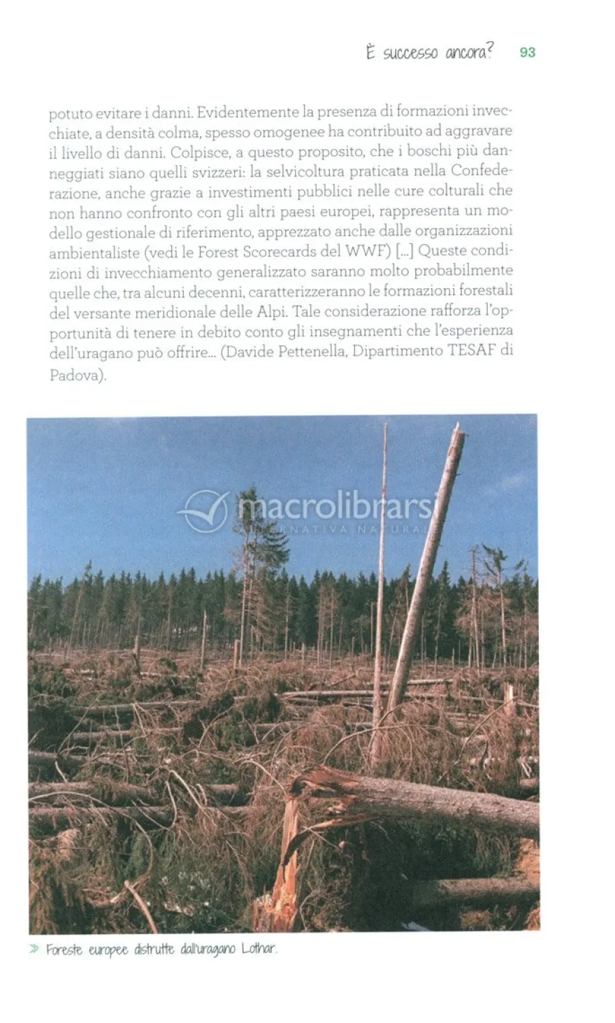 C'era una Volta il Bosco