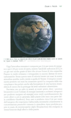 C'era una Volta il Bosco