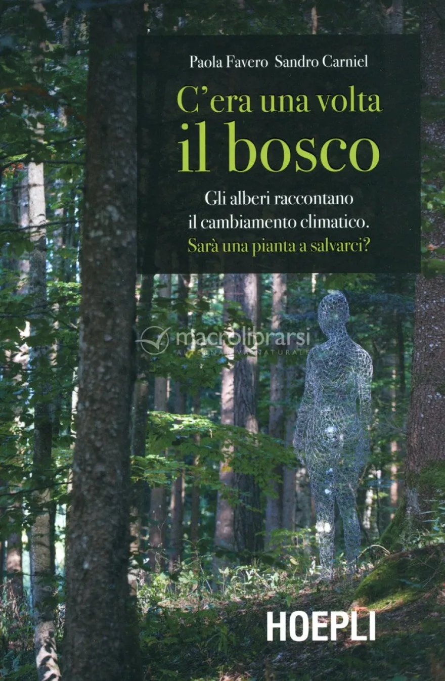 C'era una Volta il Bosco