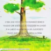 C'era una Volta un Semino di Faggio