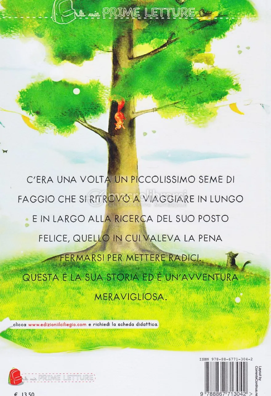 C'era una Volta un Semino di Faggio