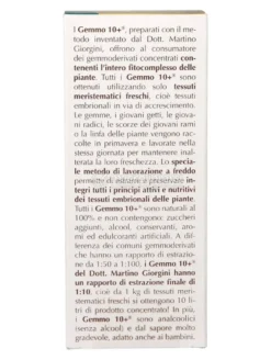 Cercis Siliquastum Gemmoderivato Concentrato - Gemmo 10+ ®