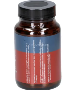Chaga