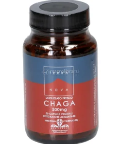 Chaga