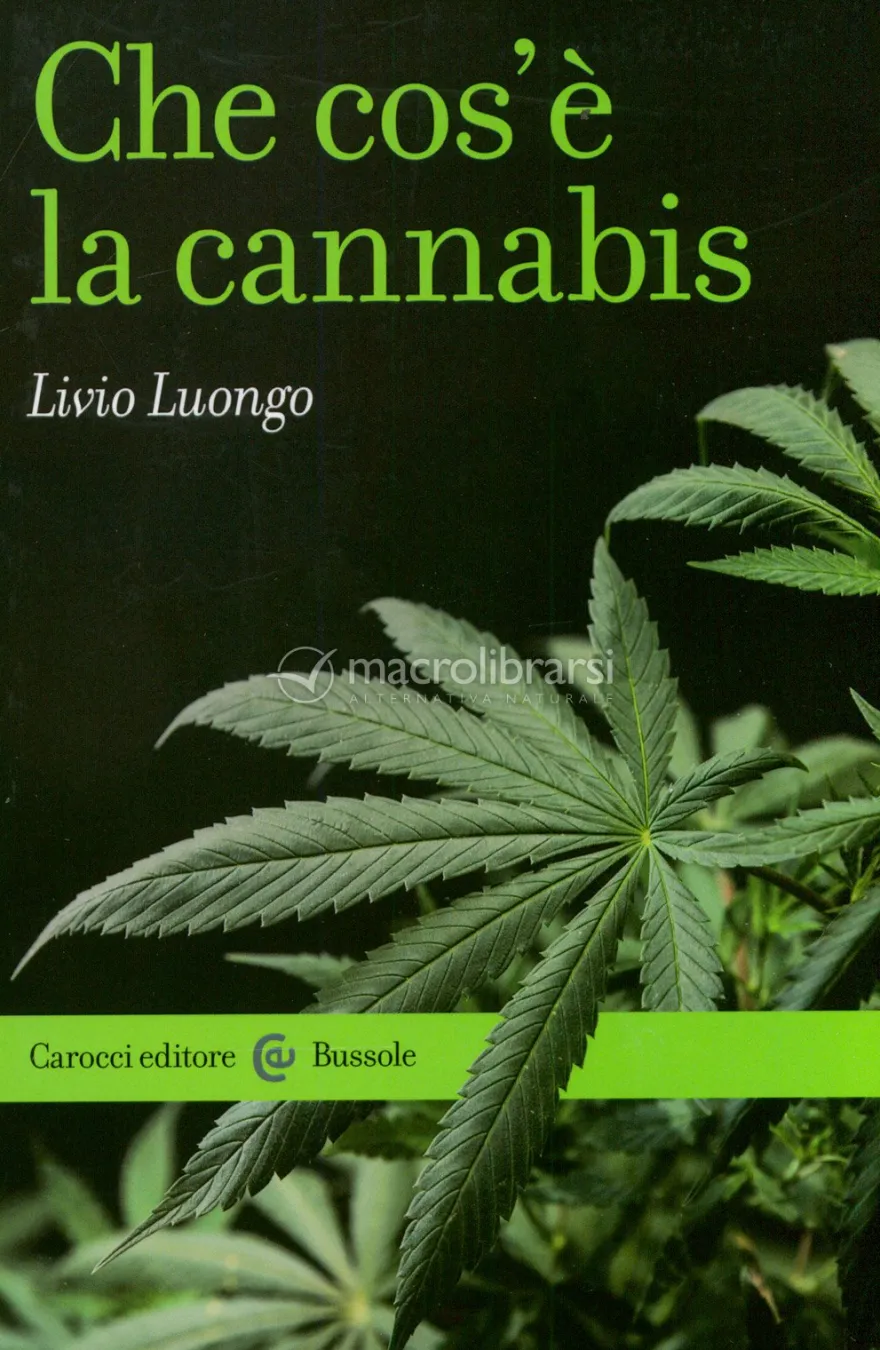 Che Cos'è la Cannabis