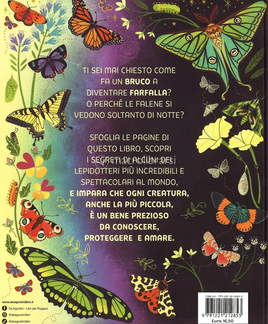 Che Cos'è una Farfalla?