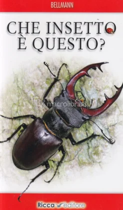 Che Insetto è Questo?