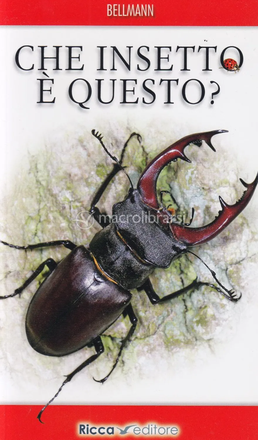 Che Insetto è Questo?