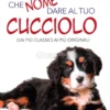 Che Nome Dare al tuo Cucciolo