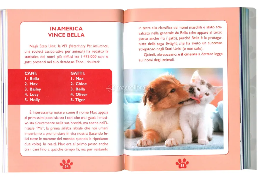 Che Nome Dare al tuo Cucciolo