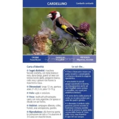 Che specie di Uccello è Questo?
