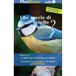 Che specie di Uccello è Questo?
