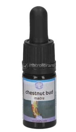 Chestnut Bud - Soluzione Madre