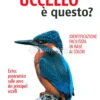 Che Uccello è Questo?