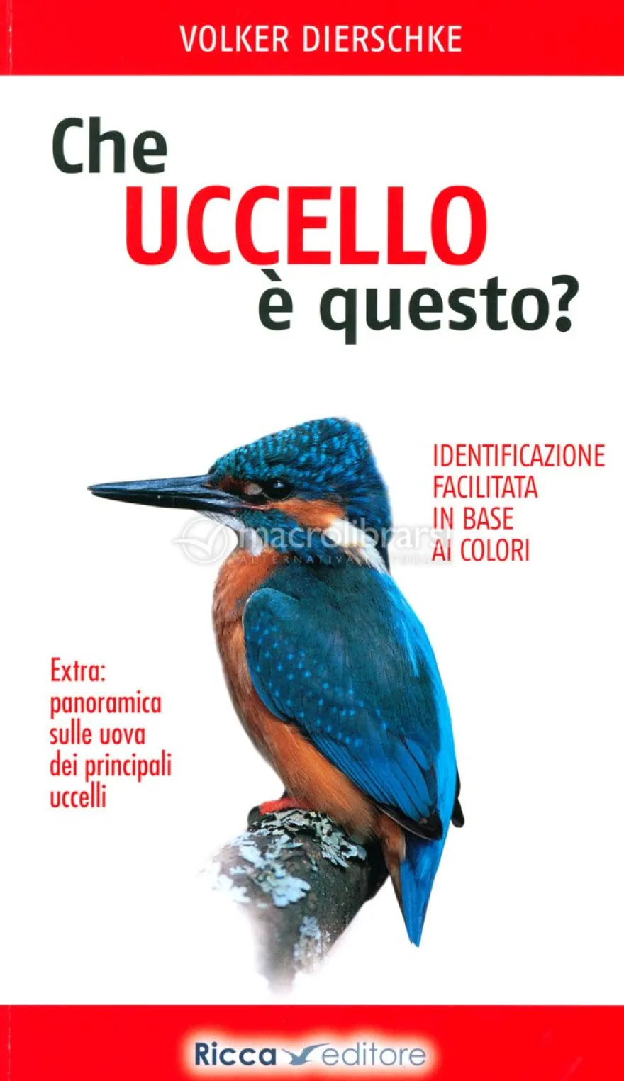 Che Uccello è Questo?