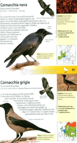 Che Uccello è Questo?