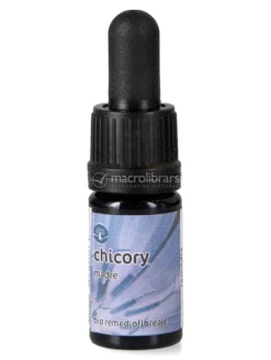 Chicory - Soluzione Madre