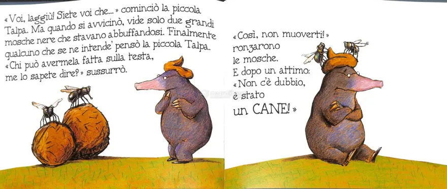 Chi Me l'ha Fatta in Testa?