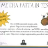 Chi Me l'ha Fatta in Testa?