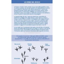 Chi è Questo Animale del Bosco?
